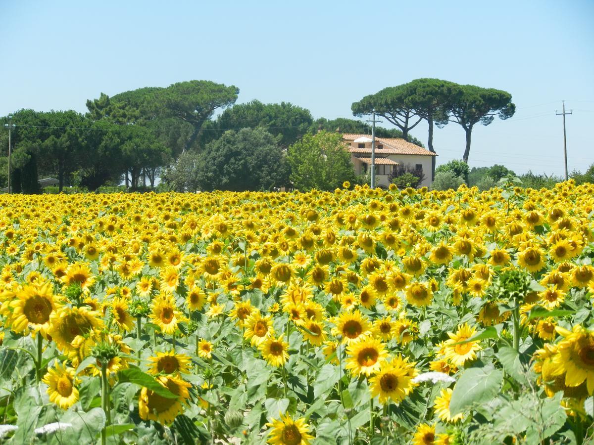 Boschetto Del Lago Castiglione del Lago Εξωτερικό φωτογραφία